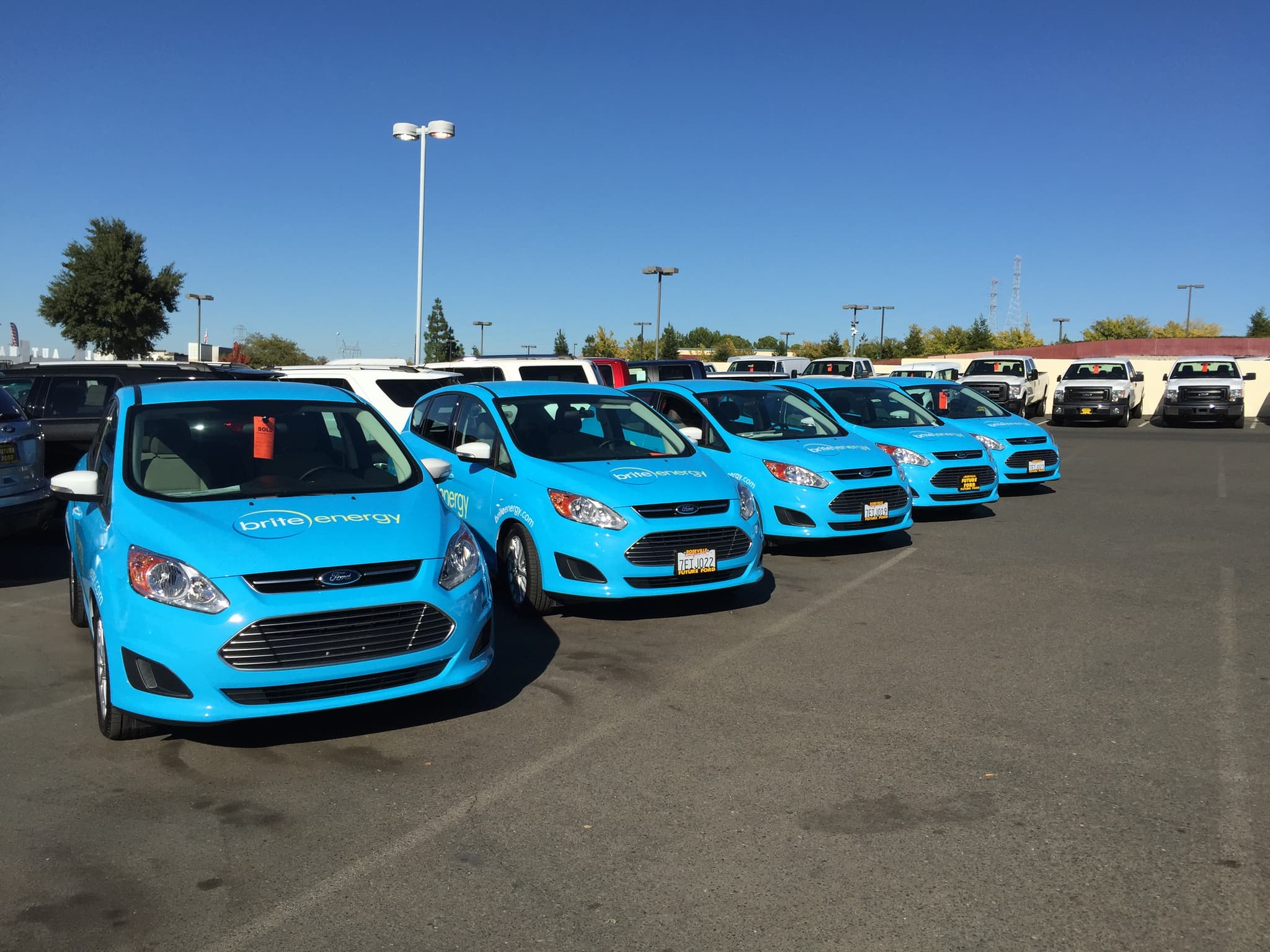 Line of bright blue Ford C-Max cars featuring custom Brite Energy vehicle wraps in a parking lot.