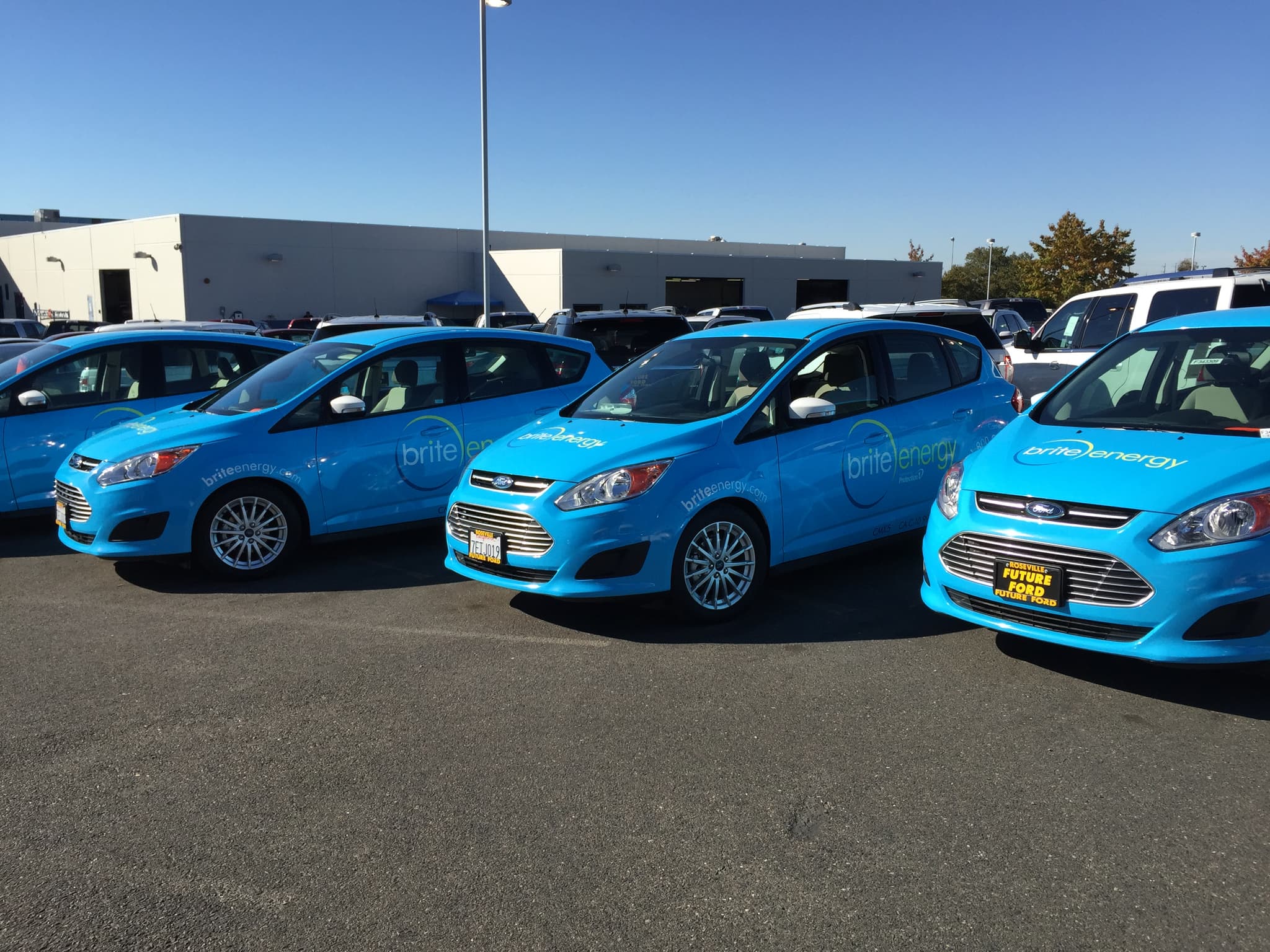 Fleet of bright blue Ford cars featuring Brite Energy full vinyl vehicle wraps parked outside.