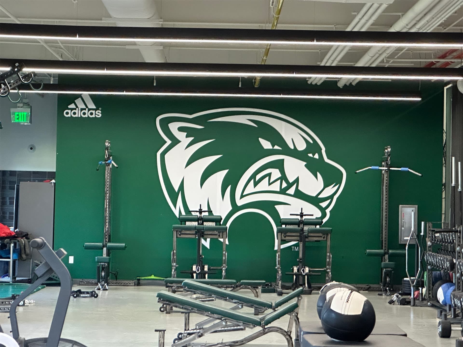Large Utah Valley University wolverine logo wall graphic inside a weight room facility.