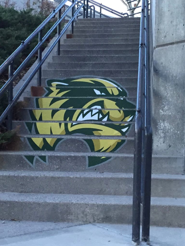 Utah Valley University wolverine mascot graphic applied across outdoor concrete steps.